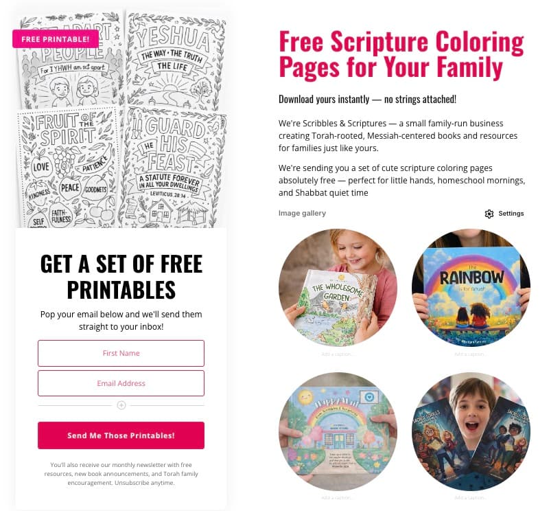 Landing page used to attract email subscribers